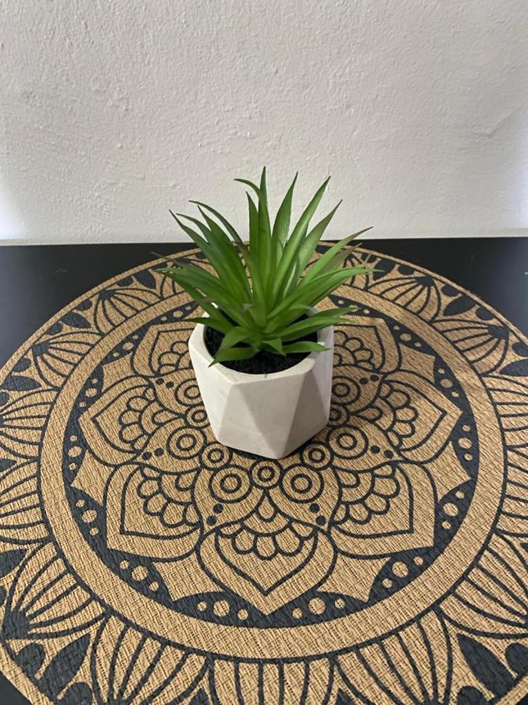 Apartament Artemisia